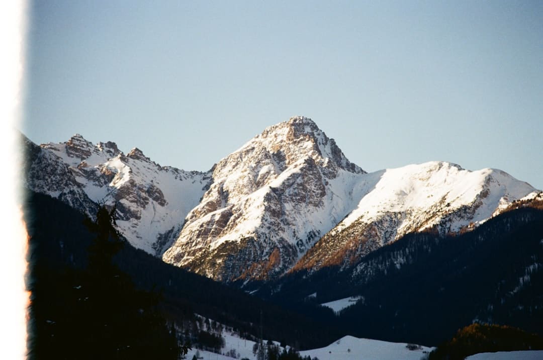http://upload.mnw.cn/2025/0828/1756348315590.jpg